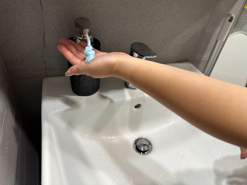 試用